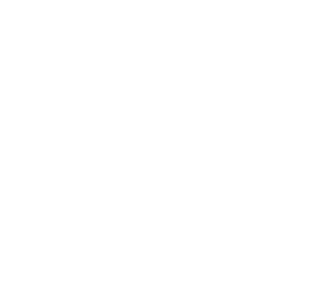 DISHOLEA MD